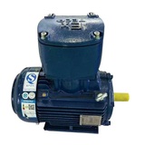 東元二級(jí)能效IE3臥式防爆電機(jī)